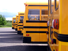 Fleet of buses