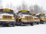 Snowed in buses